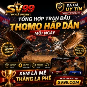 anh dai dien da ga uy tin