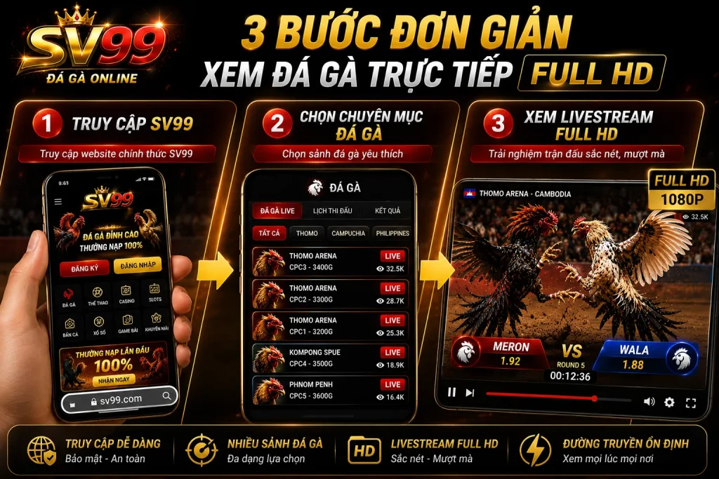 Các bước theo dõi đá gà uy tín tại SV99 nhanh chóng và đơn giản