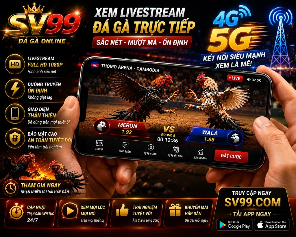 Kết nối internet ổn định giúp trải nghiệm xem đá gà mượt mà hơn