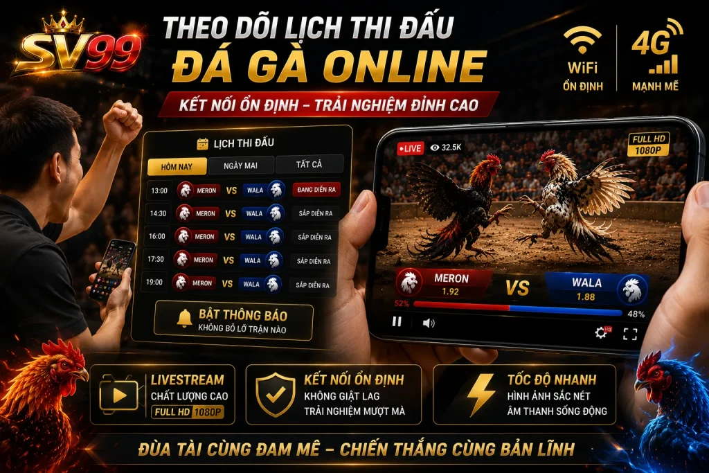 Một số kinh nghiệm giúp trải nghiệm xem đá gà online ổn định và mượt hơn
