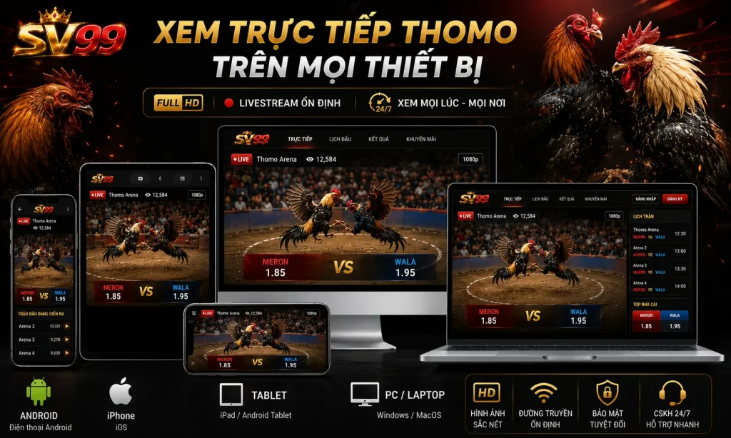 Xem trực tiếp Thomo trên nhiều thiết bị khác nhau như Android, iPhone, tablet và PC.
